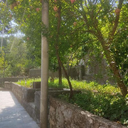 דוברובניק Apartman Arbanas מראה חיצוני תמונה