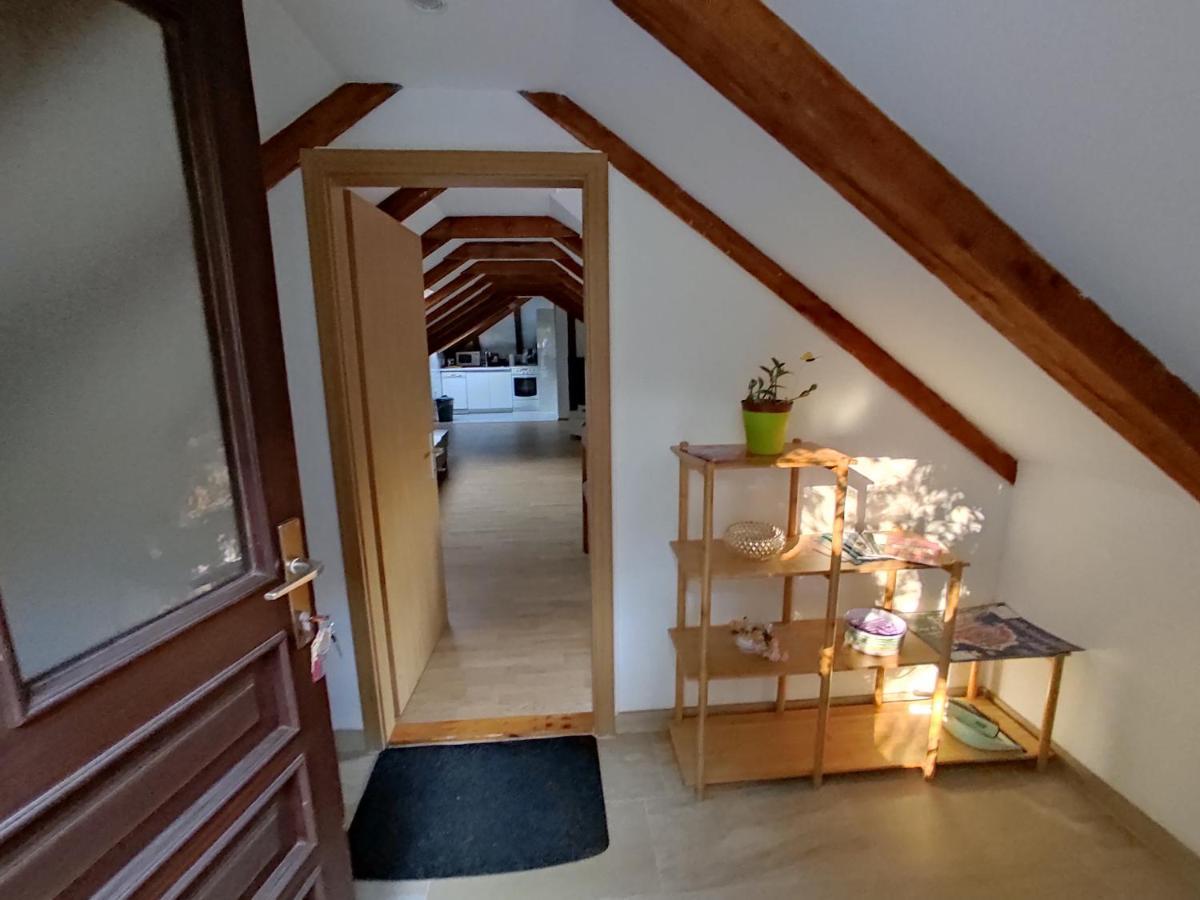 דוברובניק Apartman Arbanas מראה חיצוני תמונה