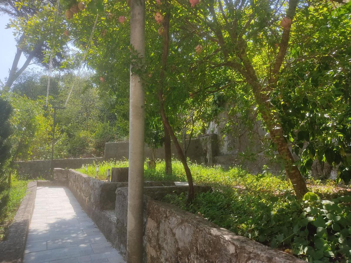 דוברובניק Apartman Arbanas מראה חיצוני תמונה